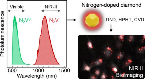 The Nitrogen-Vacancy-Nitrogen Color Center: A Ubiquitous Visible and Near-Infrared-II Quantum Emitter in Nitrogen-Doped Diamond