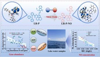 Environment-specific fluorescence probe for investigating detection mechanism of nitric oxide in lakes