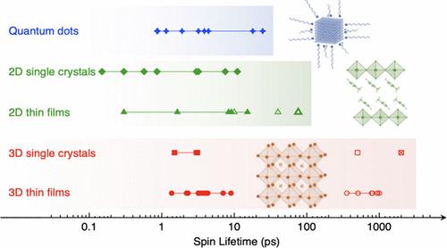 Spin Lifetime in Hybrid Organic–Inorganic Perovskites: Mechanisms, Measurements, and Prospects for Spintronic Applications