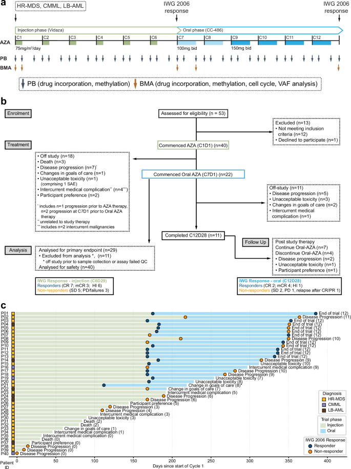 Clinical response to azacitidine in MDS is associated with distinct DNA methylation changes in HSPCs
