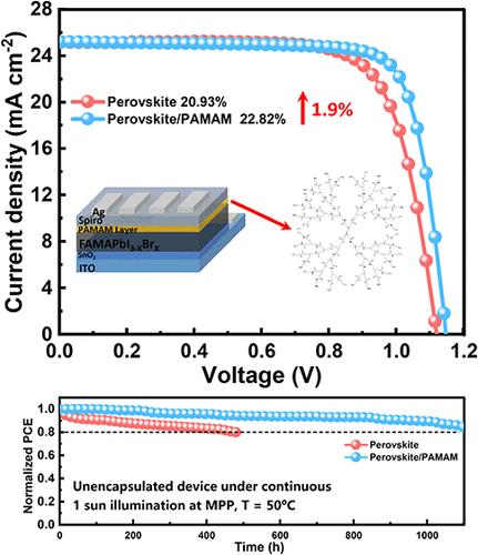 Interface Modulation by Macromolecules for Enhancing the Efficiency and Stability of Perovskite Solar Cells