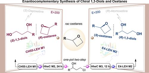 Engineering Limonene Epoxide Hydrolases for the Enantiocomplementary Synthesis of Chiral 1,3-Diols and Oxetanes
