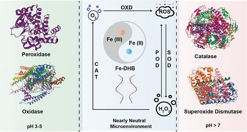 A Self-Circulated Microenvironment-Adaptive Nanozyme for Wound Healing Acceleration