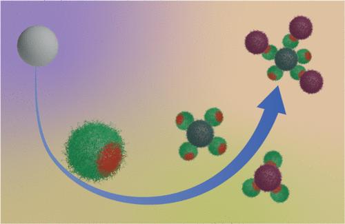 Synthesis and DNA Directed Assembly of Asymmetric Patchy Silica Microparticles