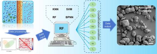 Machine learning-enhanced morphology and size control of 1,3,5-trinitro-1,3,5-triazinane (RDX) in Nanofiltration-assisted cooling crystallization