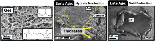 The impacts of silane functionalized hydrogels on early-age nucleation and growth of cement hydrates