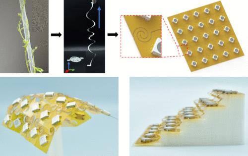 Bidirectional Spiral-Inspired Kirigami Mechanical Metamaterial for Stretchable Electronics