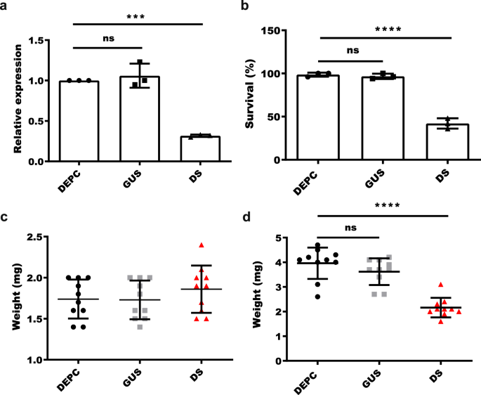 3,4-Dihydroxyphenylacetaldehyde synthase evolved an ordered structure to deliver oxygen to pyridoxal 5’-phosphate for cuticle assembly in the mosquito Aedes aegypti