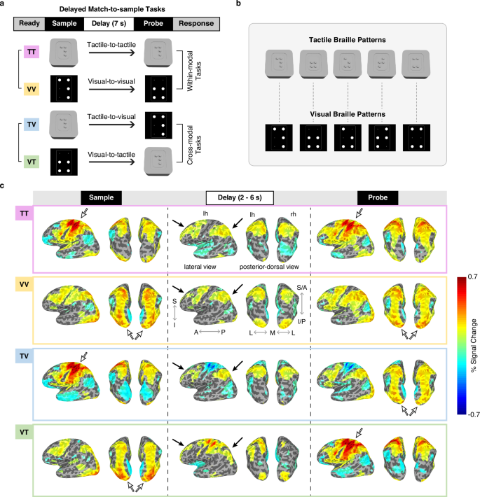 Supramodal and cross-modal representations of working memory in higher-order cortex