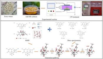 Unraveling the degradation of deoxynivalenol in wheat by sodium bicarbonate assisted cold plasma: A combined reactive molecular dynamics simulation and experimental validation