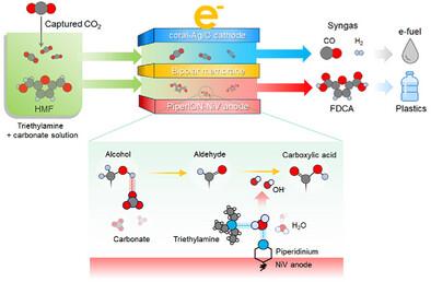 Achieving Stable Paired Electrolysis of Captured CO2 and 5-Hydroxymethylfurfural (HMF) via Tuning Anolyte Composition and Anode Surface