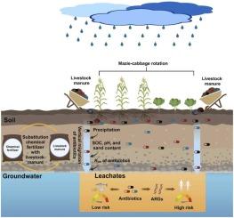 Vertical migration of antibiotics during rainfall throughout a year in long-term manure-fertilized soils differing in pH