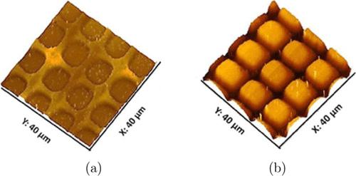 Interaction of Colloidal Particulates with Dynamic Microstructured Polymer Brushes: Computer Simulations