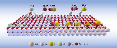 Unraveling the Chlorine-Resistance and catalytic activity of alumina-based catalyst in COS hydrolysis for blast furnace gas purification