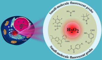 Small-molecule fluorescent probes for detecting hydrogen peroxide in biological systems