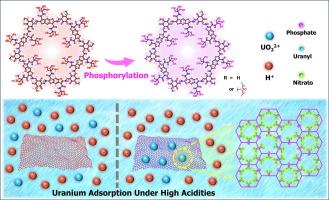 Covalent organic framework with excessive hydroxyl groups, a platform ready for phosphorylation then involved in uranium adsorption under high acidity