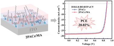 A multifunctional strategy to improve the efficiency and stability of organic solar cells via a 2PACz/MA composite hole transport layer†