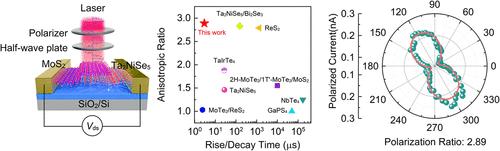 Self-Powered Broadband UV-NIR Polarization-Sensitive Photodetector Based on Unipolar van der Waals Heterostructure