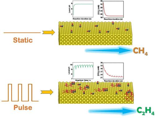 Insights into the Influence of Local Microenvironment and Surface Dynamics on C2H4 Selectivity over Cu(100) Single-Crystal Electrode