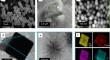 Enhanced stability and coke resistance in methanol to olefins reaction using fibrous silica-wrapped silicoaluminophosphate zeolite