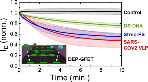 Dielectrophoresis-Enhanced Graphene Field-Effect Transistors for Nano-Analyte Sensing