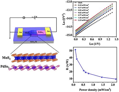 High-Performance Broadband Photodetector Based on Tunneling Heterostructure MoS2/PdSe2