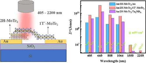 Asymmetric Schottky Contacts Enhanced Two-Dimensional Heterojunctions for Self-Powered Broadband and Polarization-Sensitive Photodetection