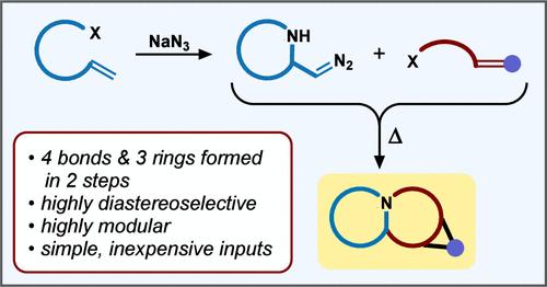 Dipole-Transmissive 1,3-Dipolar Cycloadditions: Modular, Diversity-Oriented Synthesis of Polycyclic Alkaloid Scaffolds