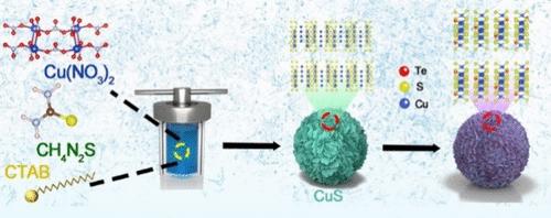 Revealing the Role of Topotactic Anion Exchange in the Robust Zn Ion Storage of CuS1–xTex
