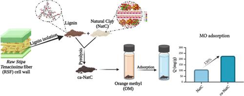 A Theoretical and Experimental Study of Carbonized Lignin from Alfa Fibers as a Clay-Based Adsorbent
