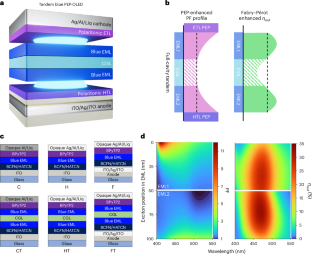 Stable, deep blue tandem phosphorescent organic light-emitting diode enabled by the double-sided polariton-enhanced Purcell effect