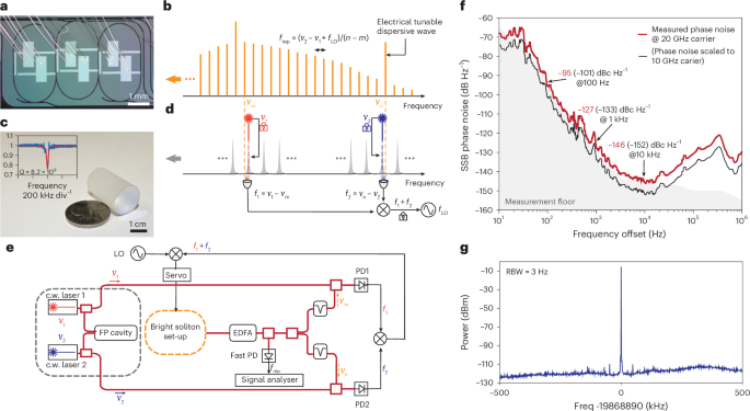 Dispersive-wave-agile optical frequency division