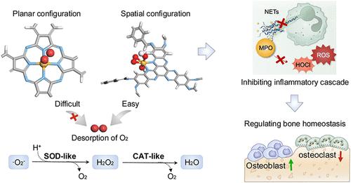 Spatial Configuration-Guided Design of Covalent Organic Framework-Based Artificial Metalloantioxidases for Inhibiting Inflammatory Cascades and Regulating Bone Homeostasis