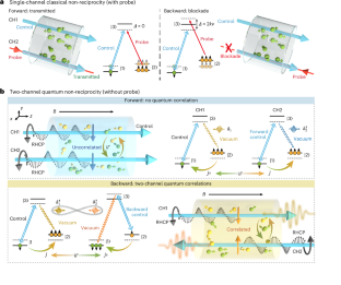 Chirality-induced quantum non-reciprocity