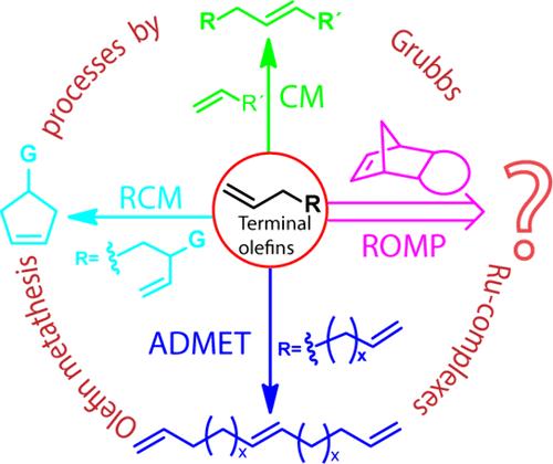 Unprecedented Reactivity of Terminal Olefins in Ring-Opening Metathesis Polymerization