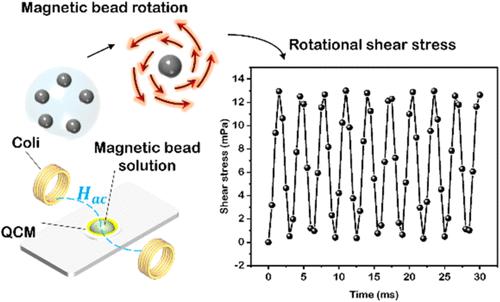 QCM Sensing the Motion of Magnetic Particles: Principle and Signal Acquisition