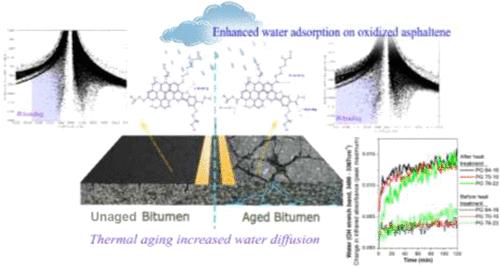 Investigating the Diffusion Dynamics of Moisture in Thermally Aged Bitumen