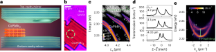 Continuous-wave nonlinear polarization control and signatures of criticality in a perovskite cavity