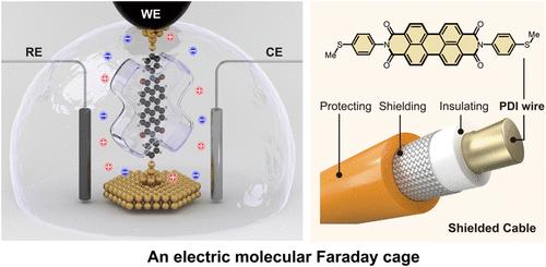 An Electric Molecular Faraday Cage
