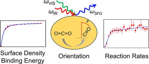 Orientational Geometry, Surface Density, and Binding Free Energy of Intermediates as Full Descriptors for Electrochemical CO2 Reduction at Metal Surfaces