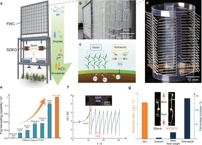 A self-sufficient system for fog-to-water conversion and nitrogen fertilizer production to enhance crop growth