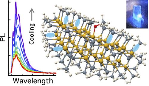 Temperature-Dependent Photoluminescence of Surface-Passivated 2D-Layered Silicon Carbide Nanocrystals