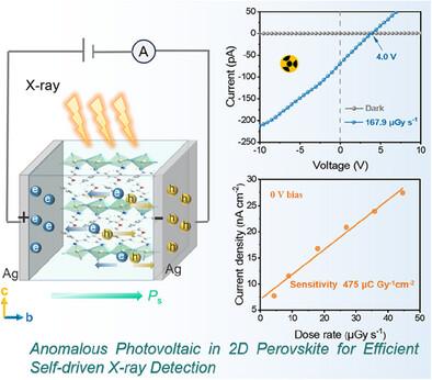 Anomalous Photovoltaic Effect in a Chiral Alternating-Cation Intercalation-Type Perovskite for Efficient Self-Driven X-Ray Detection