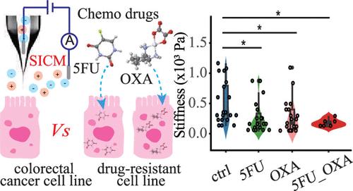 Characterizing for Subcellular Physical Property Changes of Chemotherapy Drug-Resistant Malignant Cancer Cells