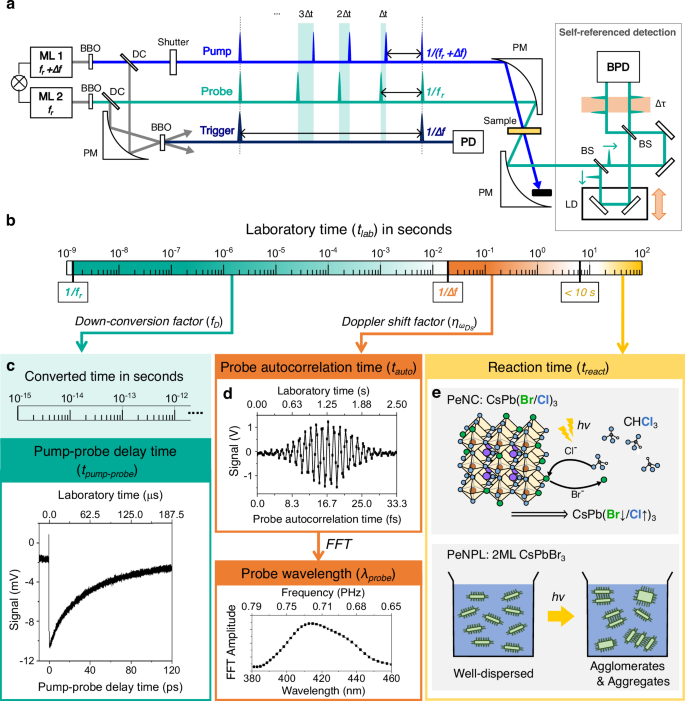 In situ and real-time ultrafast spectroscopy of photoinduced reactions in perovskite nanomaterials