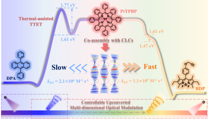 Chiral dual-annihilator model for controllable photon upconversion and multi-dimensional optical modulation