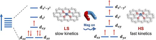 Spin State Modulation via Magnetic Fields in Fe Single Atom Catalysts for High-Performance Aqueous Zinc–Sulfur Batteries