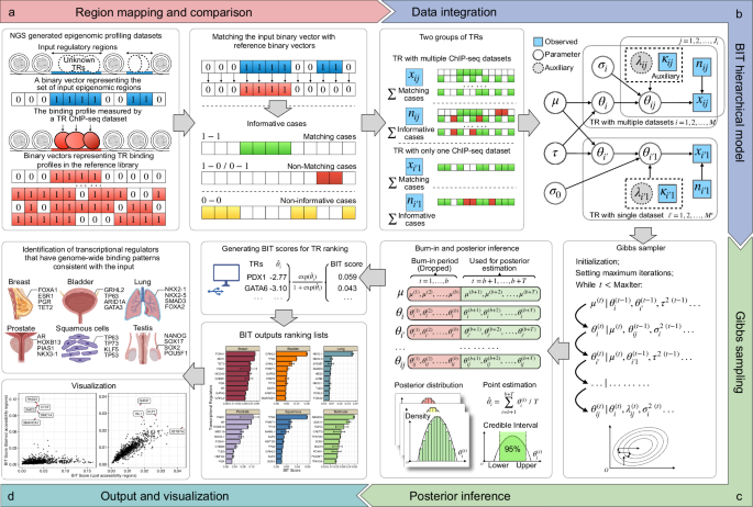 BIT: Bayesian Identification of Transcriptional regulators from epigenomics-based query region sets