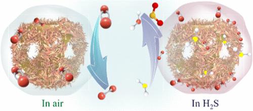 Fe2O3 Nanotube-Decorated ZnFe2O4 Open Nanocages for High-Sensitive H2S Detection