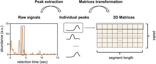 An Artificial Intelligence Olfactory-Based Diagnostic Model for Parkinson’s Disease Using Volatile Organic Compounds from Ear Canal Secretions